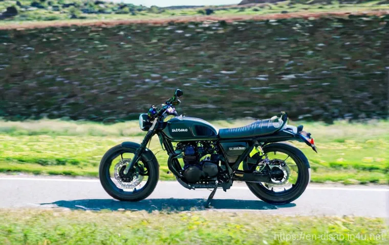 장애인재활상담사와 사회복지사의 차이점 - Here are three detailed image generation prompts in English, designed to be 15+ appropriate and avoi...